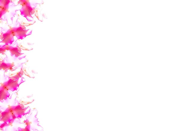 Floral Border 46 | Free stock photos - Rgbstock -Free stock images ...