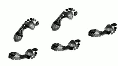 Footsteps On White Stock Footage Video 2250532 - Shutterstock