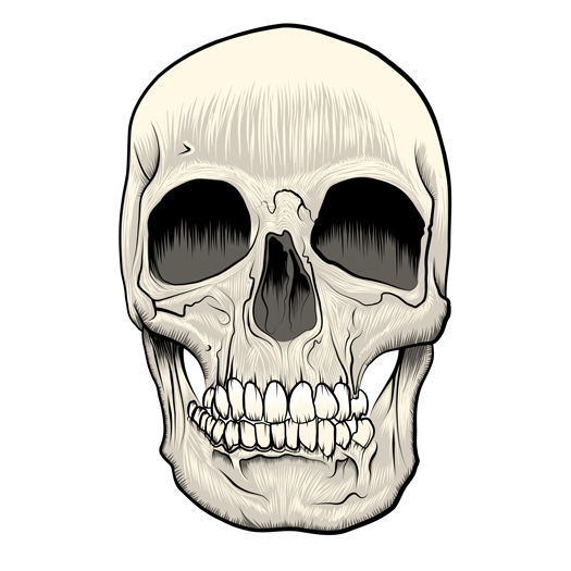 Digital Art Observations: Vector Skull Painting