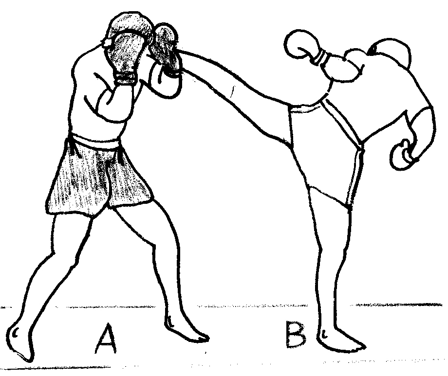Fighting Style: February 2012