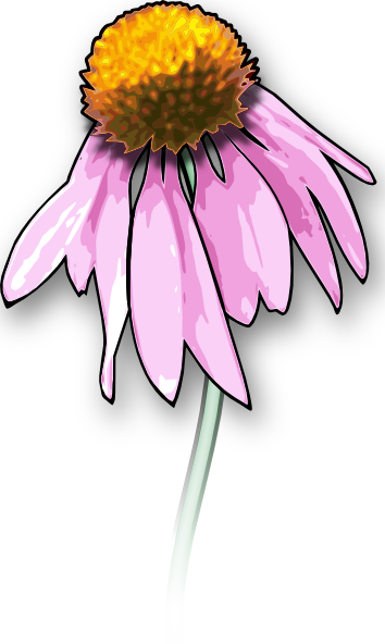 Dead Flower clip art - vector clip art online, royalty free ...