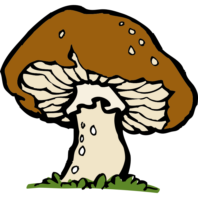 Clipart - big mushroom