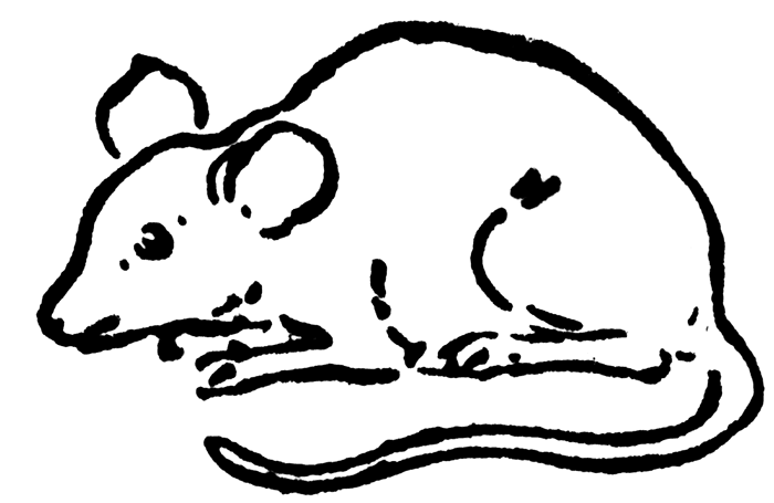 clip-art-of-mice.gif