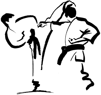 Mixed Martial Arts (MMA), Karate, Taekwondo, or Jiu-jitsu, which ...