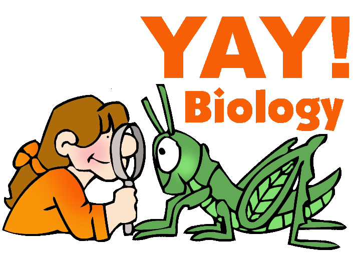 GAMSAT Biology: Where Do You Begin? | GAMSAT syallbus