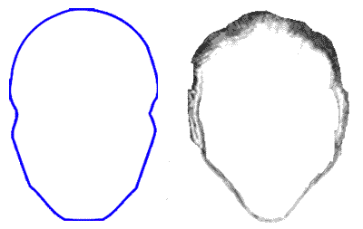Outline Of A Head Template - ClipArt Best