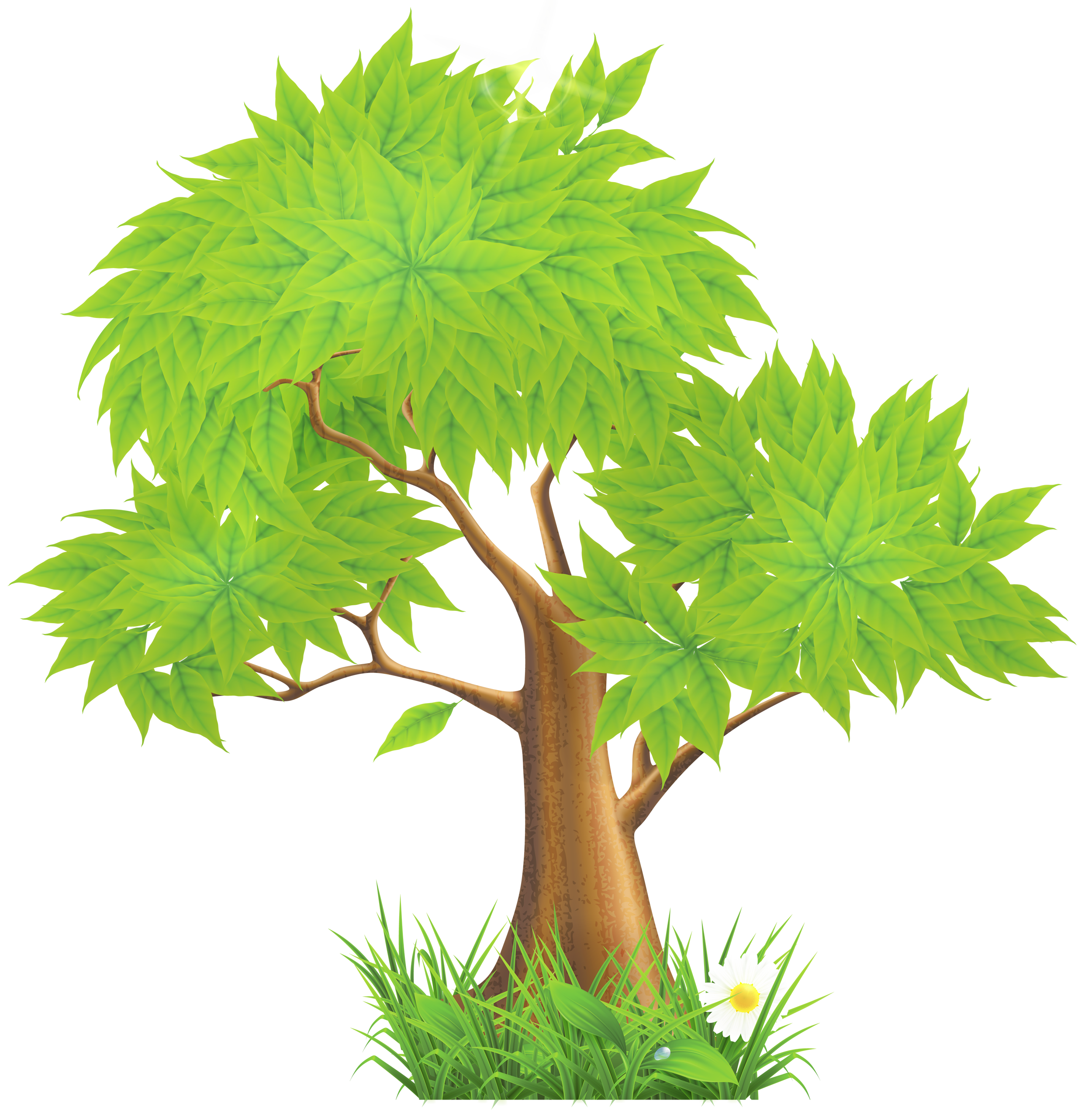 Trees - ClipArt Best