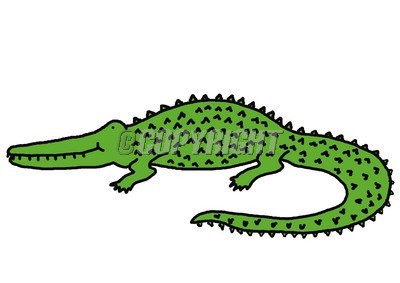 Pix For > Alligator Illustration