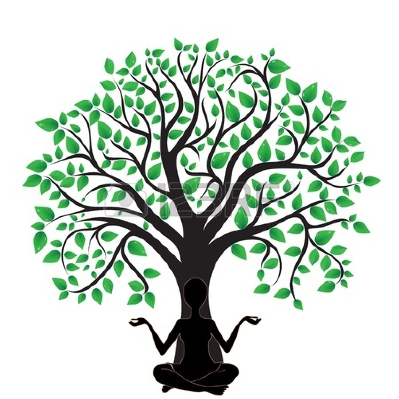Images For > Acorn Tree Clipart