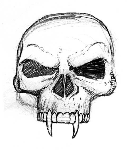 skull - picfind1 - Bloguez.com