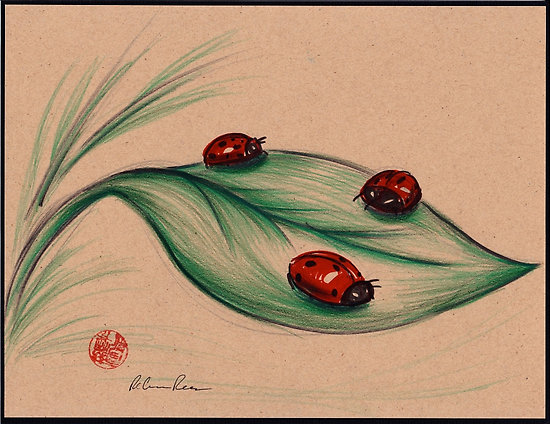 RED LADIES - Original ladybug mixed media drawing/painting ...