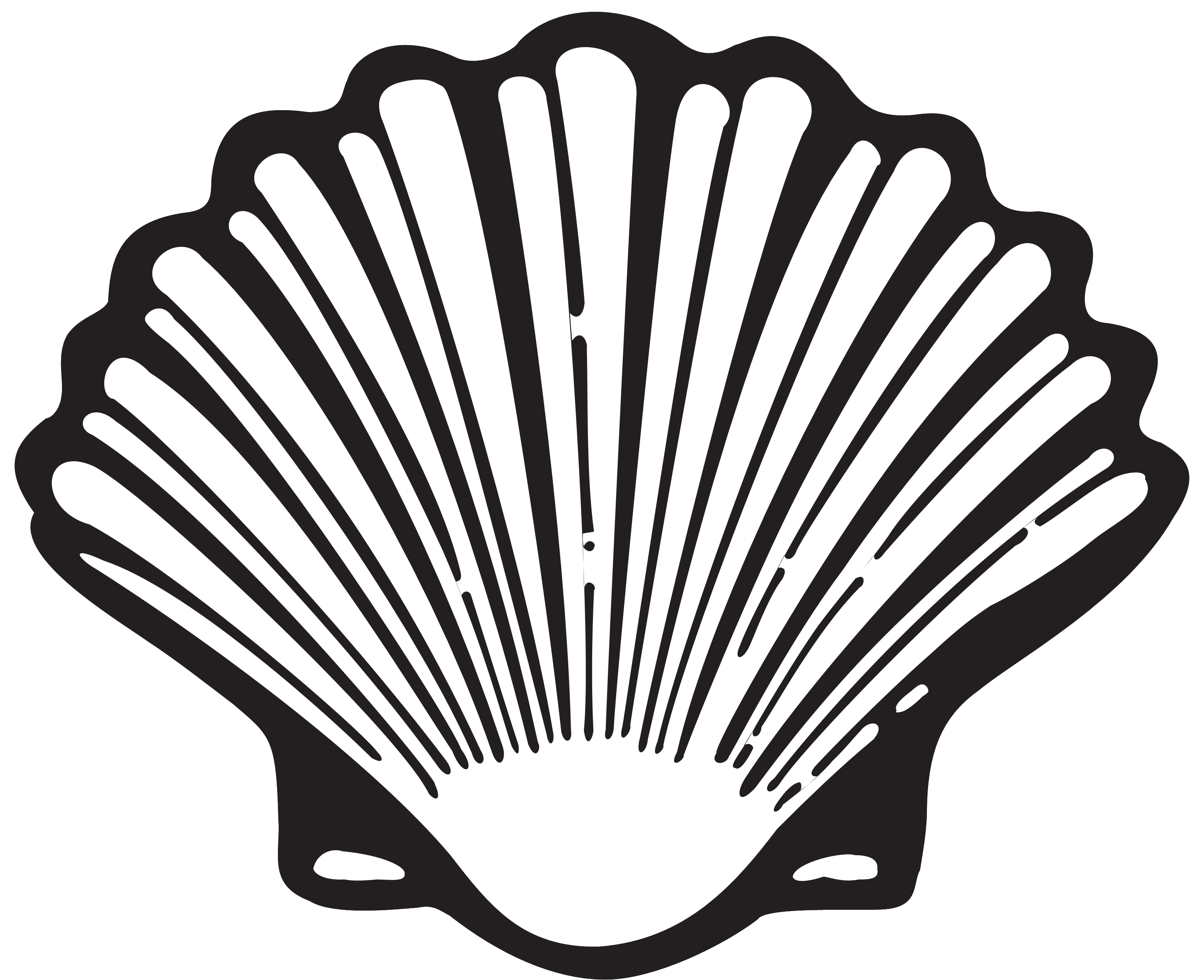 shell - définition - What is ?