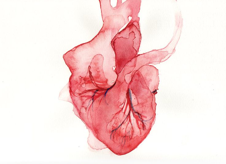 Title #6 Watercolor real heart . | Ink Passion / Tattoo lover ...