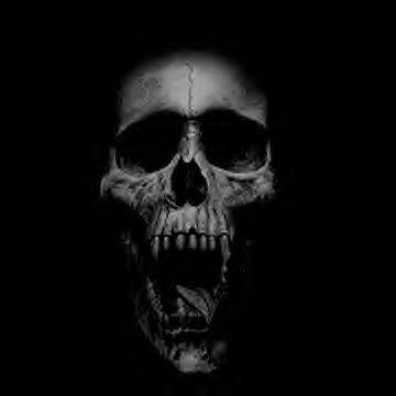 skull - Skulls Photo (14807329) - Fanpop