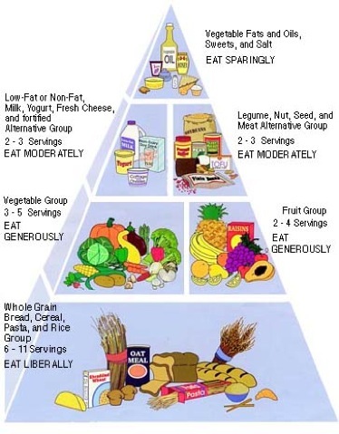 Vegetarian Diet Chart