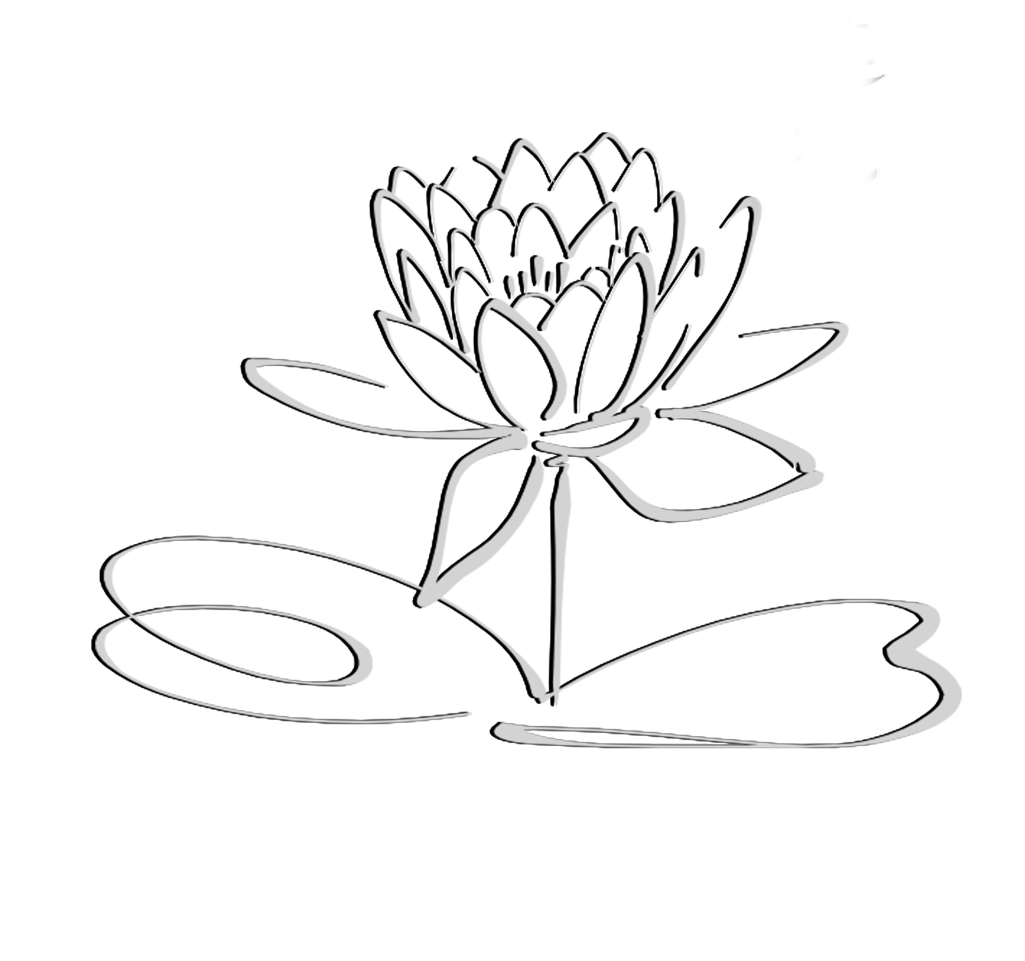 Lotus Flower Black And White Clipart - Gallery
