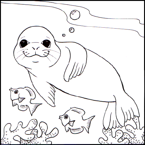 Seal Pictures For Kids To ColorFun Coloring | Fun Coloring