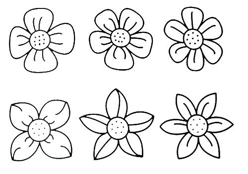How to Draw Flowers | How To Draw