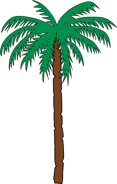 BROWN, GREEN, PALM, TREE, CARTOON, FREE, TREES, PLANT - Public ...