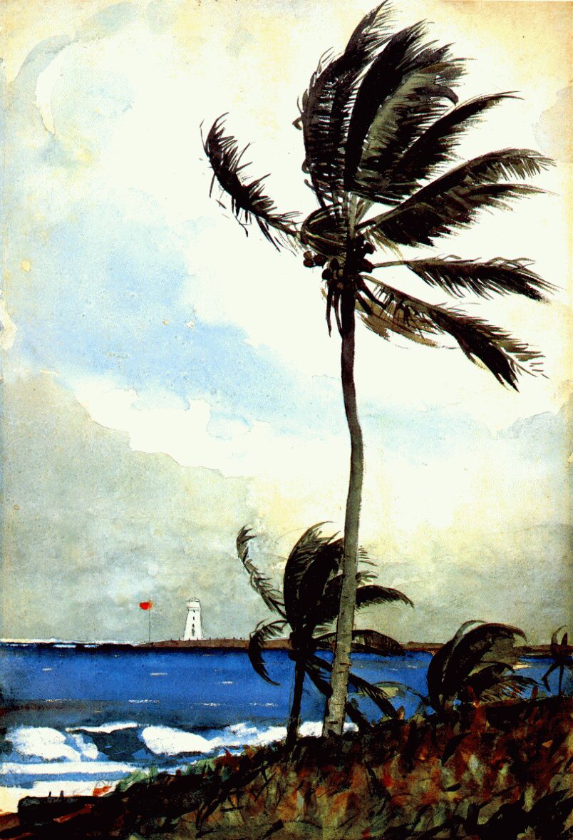 Palm tree, Nassau - Winslow Homer - WikiArt.org
