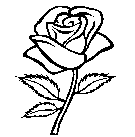 Rose line art by Icerosedrag0n on DeviantArt