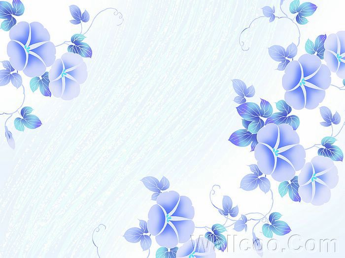Morning Glory Flowers, Graphic Flowers illustration (1920+1600 ...
