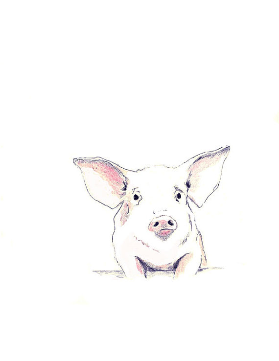 Popular items for pig drawing on Etsy