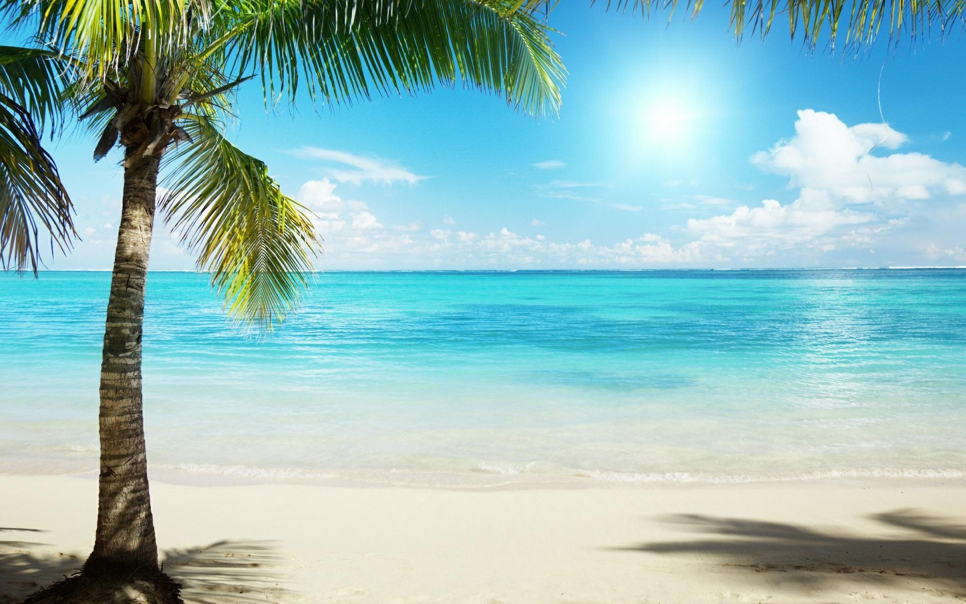 Beach Sunset Landscape wallpaper | 1920x1080 | #15354