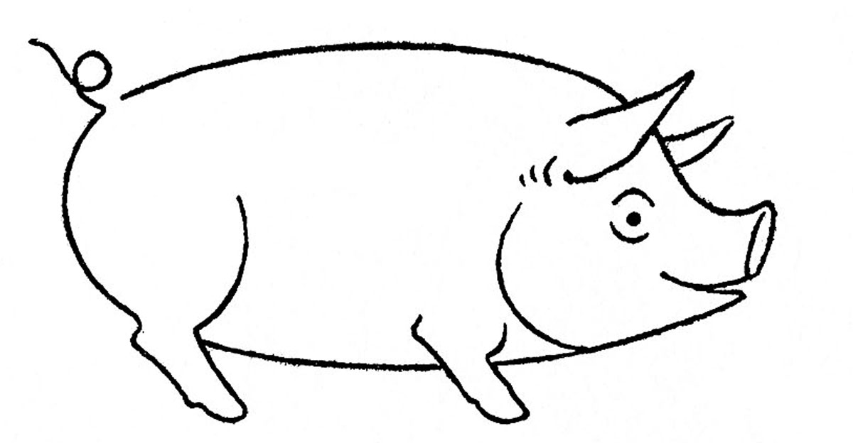 Pig Drawing | DrawingSomeone.com