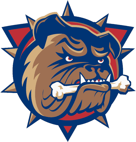 The AHL's Best and Worst Logos, Teams 20-11 | Admirals Roundtable