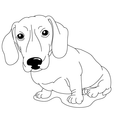 How to Draw a Dog | Fun Drawing Lessons for Kids & Adults