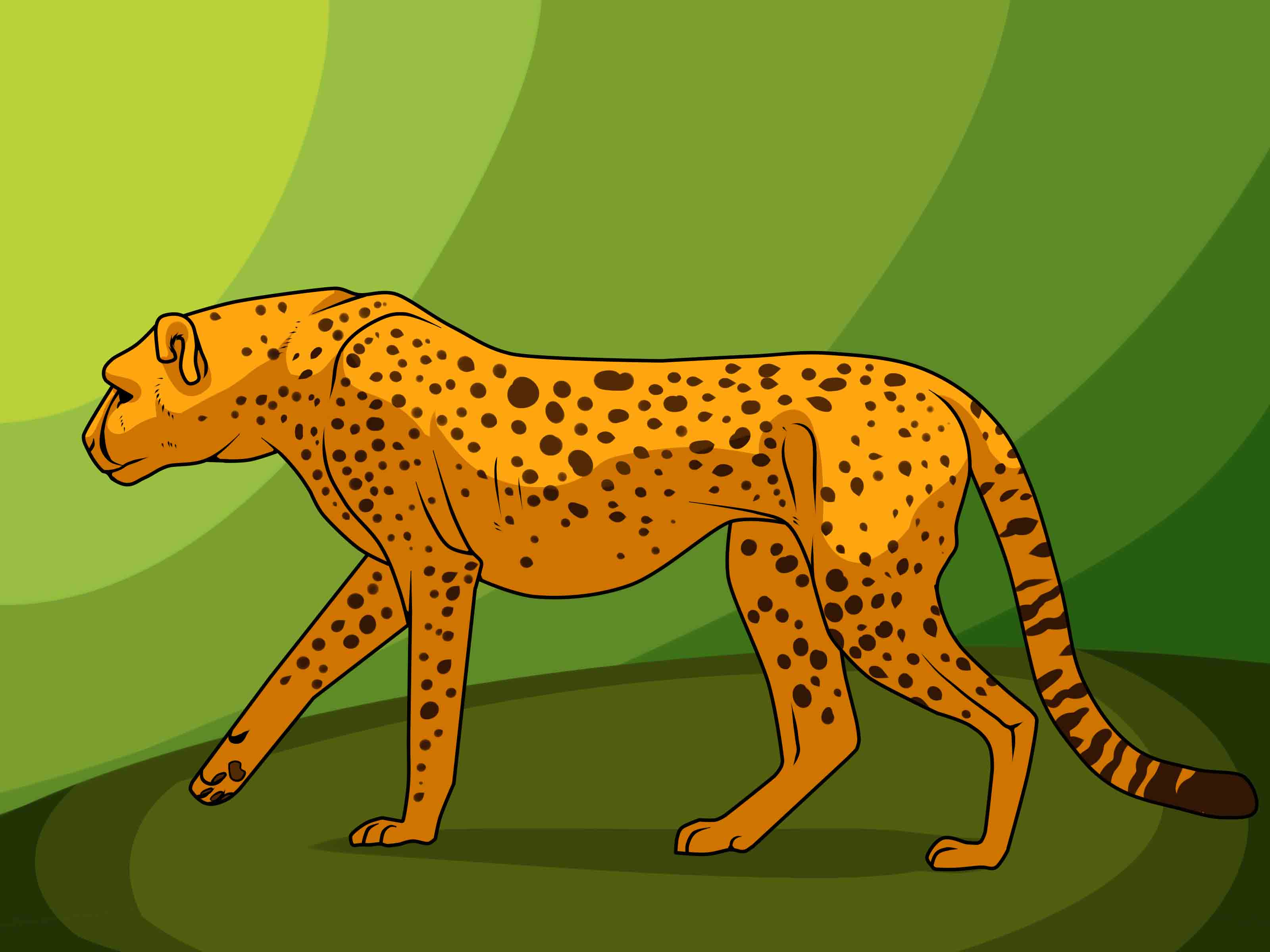 How to Draw a Cheetah: 13 Steps (with Pictures) - wikiHow