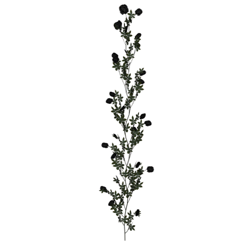 Black Rose Vine 1 by TexelGirl-Stock on deviantART