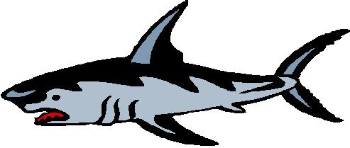 Shark Clipart, Shark Clip Art