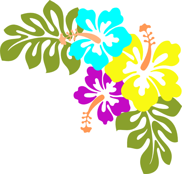 Picture Of Hawaii State Flower - ClipArt Best
