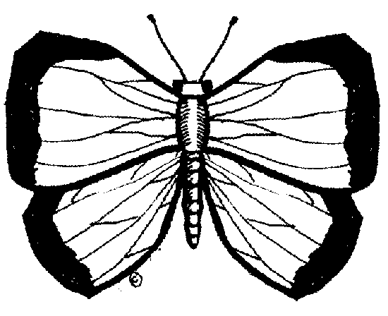 Black And White Butterfly Clip Art - ClipArt Best