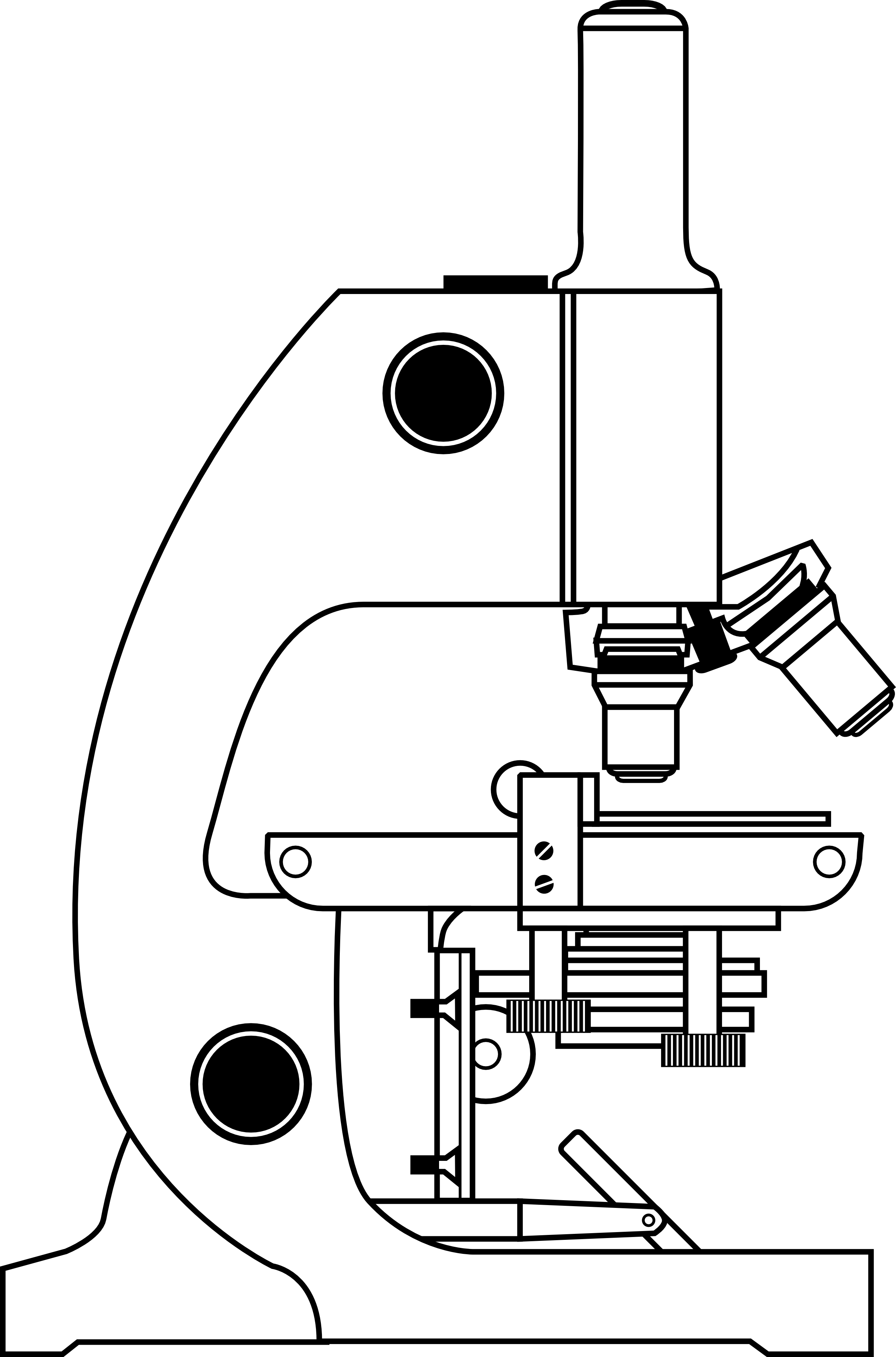 Microscope - ClipArt Best