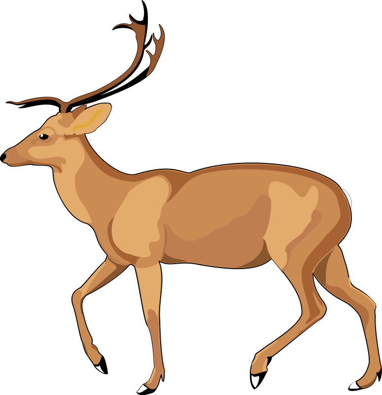 Animal 8 Free Vector / 4Vector