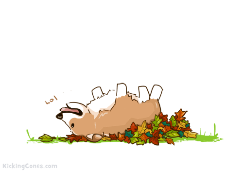 Dog Thank You GIFs on Giphy