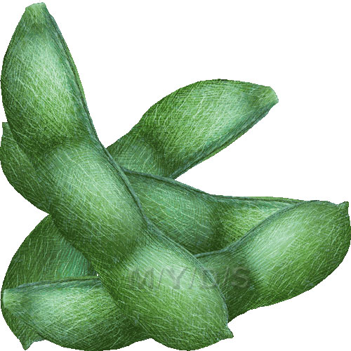 Images For - Soybean Pod Clipart