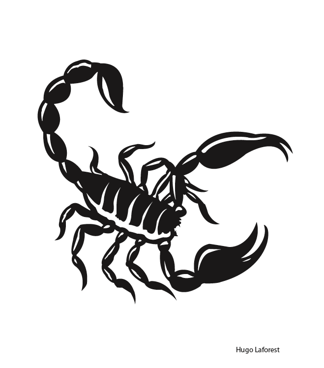 Bing Images - http://www.bing.com:80/images/search?q=Scorpion+ ...