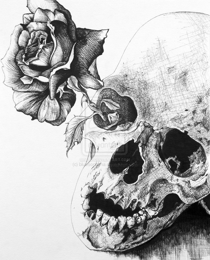 Skull on Pinterest | Skull Art, Skull Drawings and Skull Tattoos