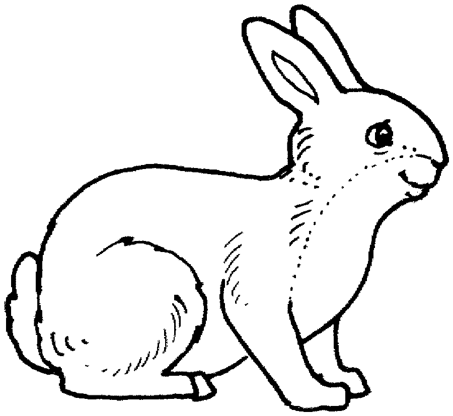 Animals To Color For Kids - AZ Coloring Pages
