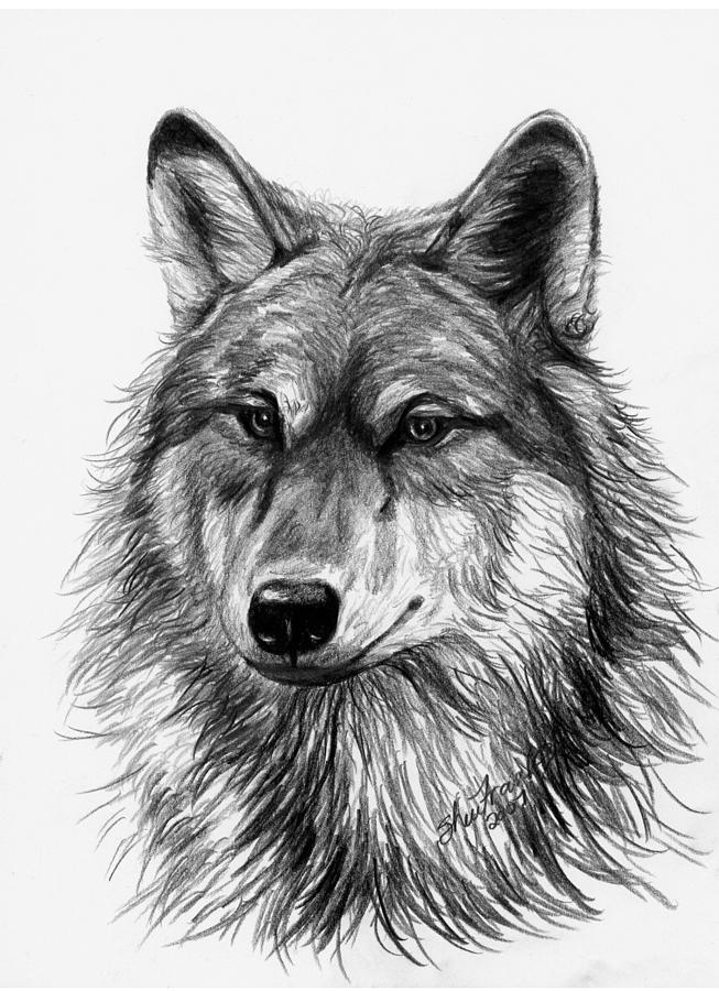 Wolf Head by Sheri Marean