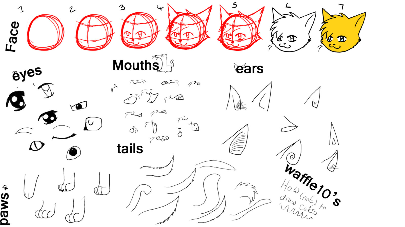 How to draw those anime cats by waffle10 on DeviantArt
