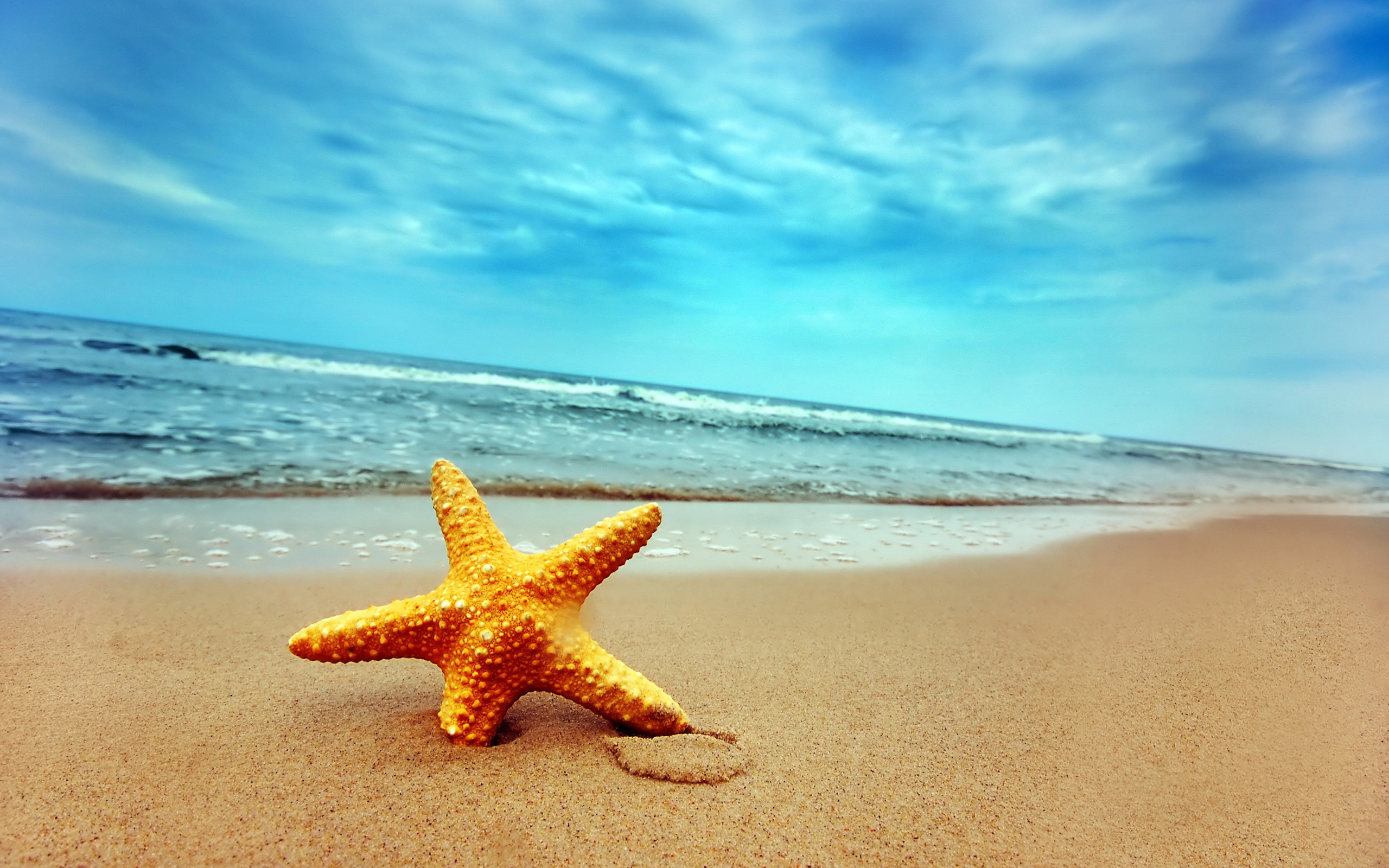 Beach Widescreen Wallpapers Wallpaper High Definition 2560x1600PX ...
