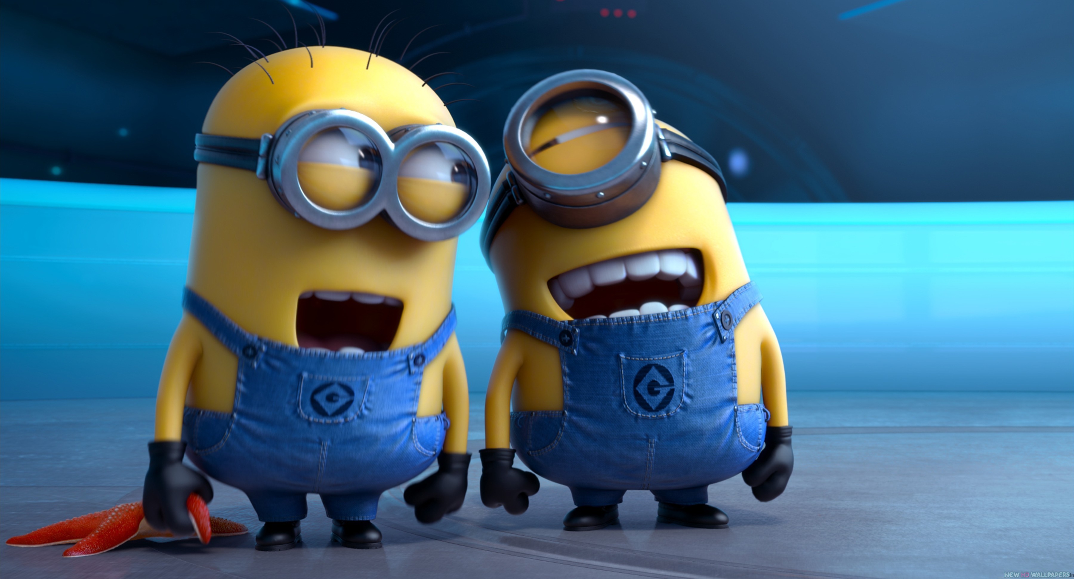 The cartoon Minions two of minions are laughing wallpapers and ...