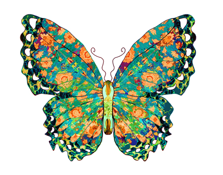Butterfly Art | Butterfly Paintings | Butterfly Prints & Cards