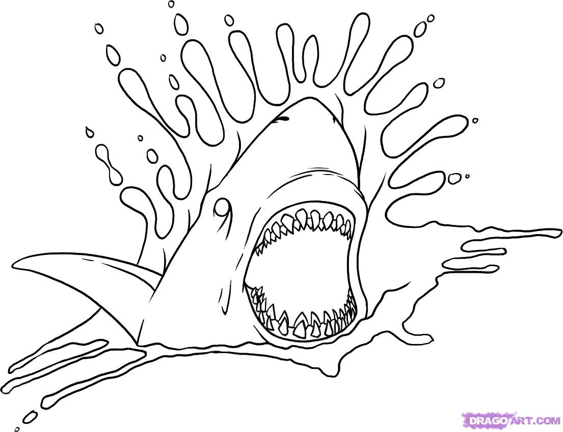 How to Draw a Shark Tattoo, Step by Step, Sea animals, Animals ...