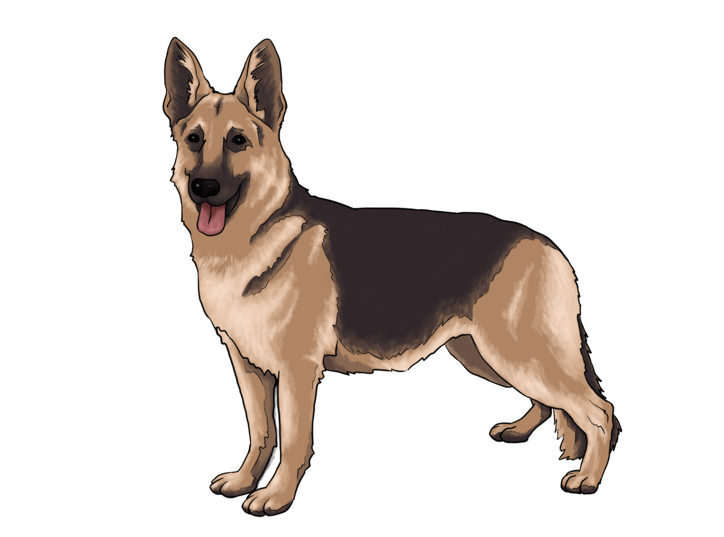 How to Draw a Real Dog: 10 Steps (with Pictures) - wikiHow